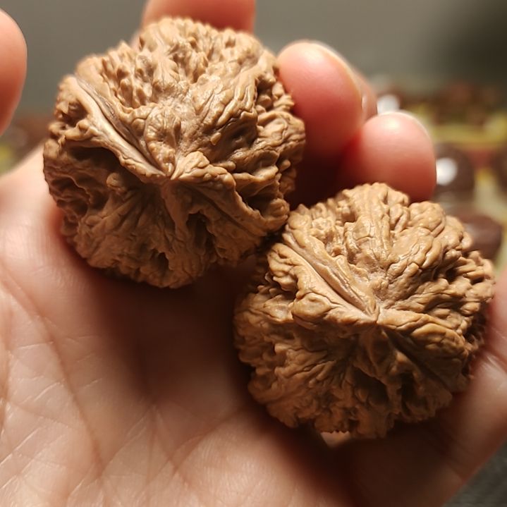 卓****吊坠文玩核桃嘟嘟唇肉蚂蚁1