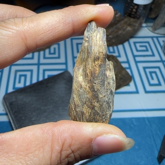 木质沉水绿奇树丁4.8克