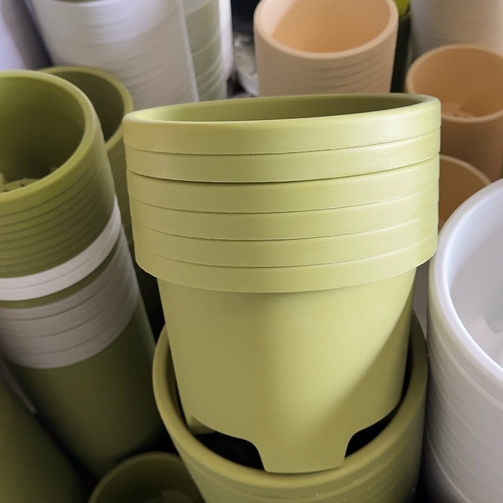 球根26口径6个无托果绿