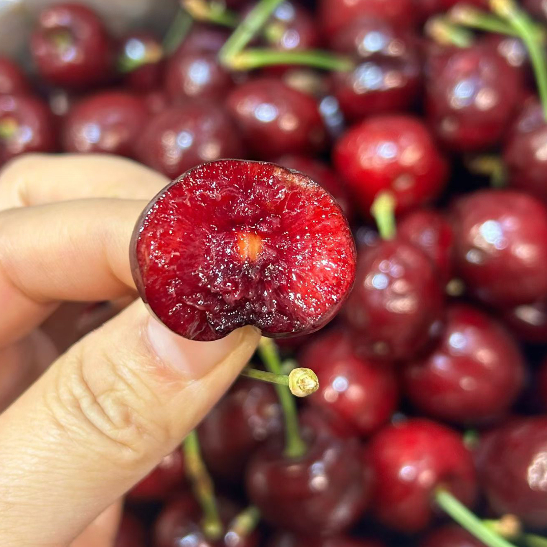 XLD智利车厘子海运 500g纯甜智利