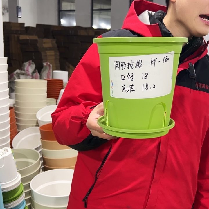 正品圆控口18高18果绿色8只带托