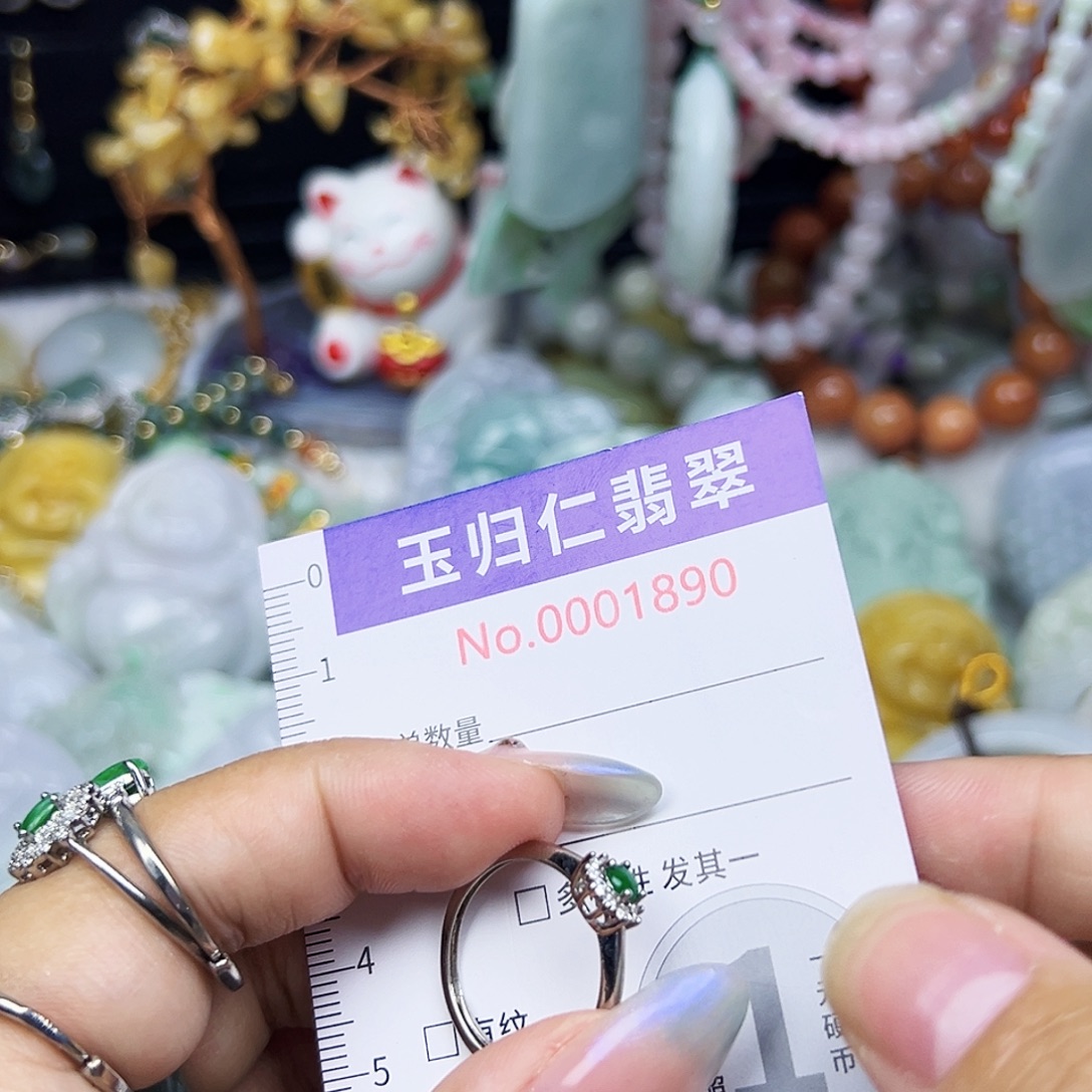 翡翠未镶嵌吊坠(不含链)1111111