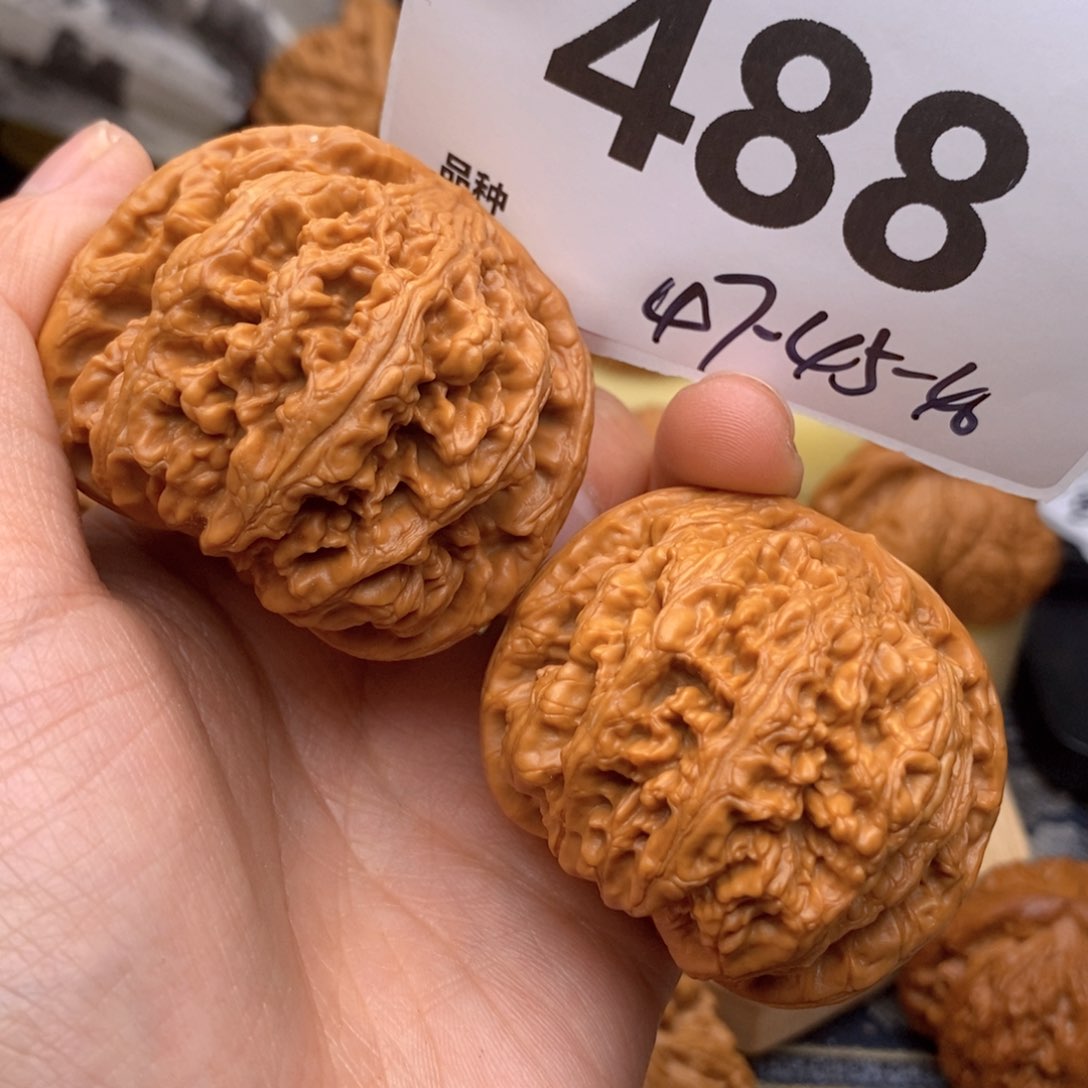 文玩核桃把件488号47粗筋