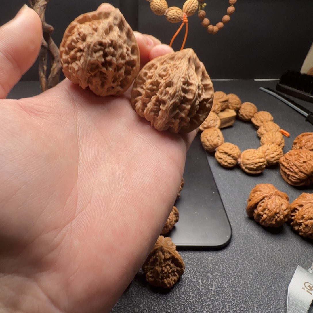 核桃马蹄火焰全品无修