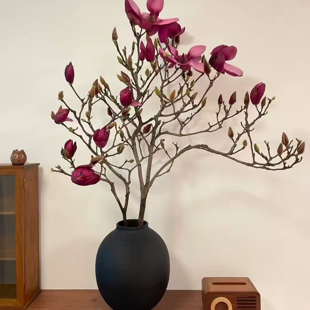 鲜切【带花苞发货】zz紫色玉兰水培绿植室内室外可种植好养2/5/10支