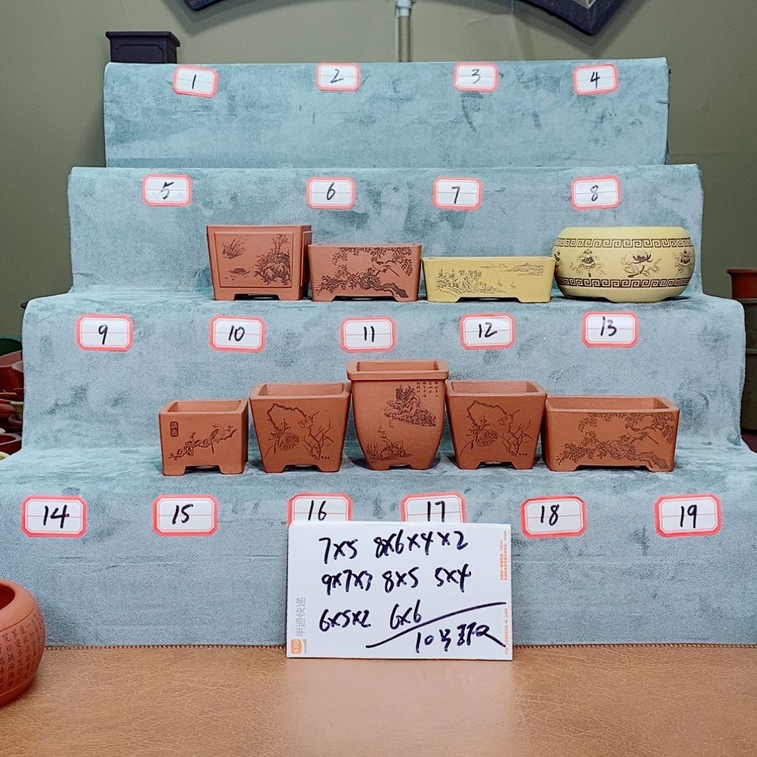 紫砂花盆我在等一