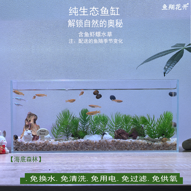 自循环生态缸 四季长春 教学 不用电 办公桌 书房 加湿 懒人鱼缸
