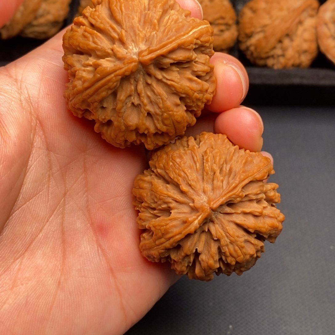 文玩核桃把件秦岭野生核桃