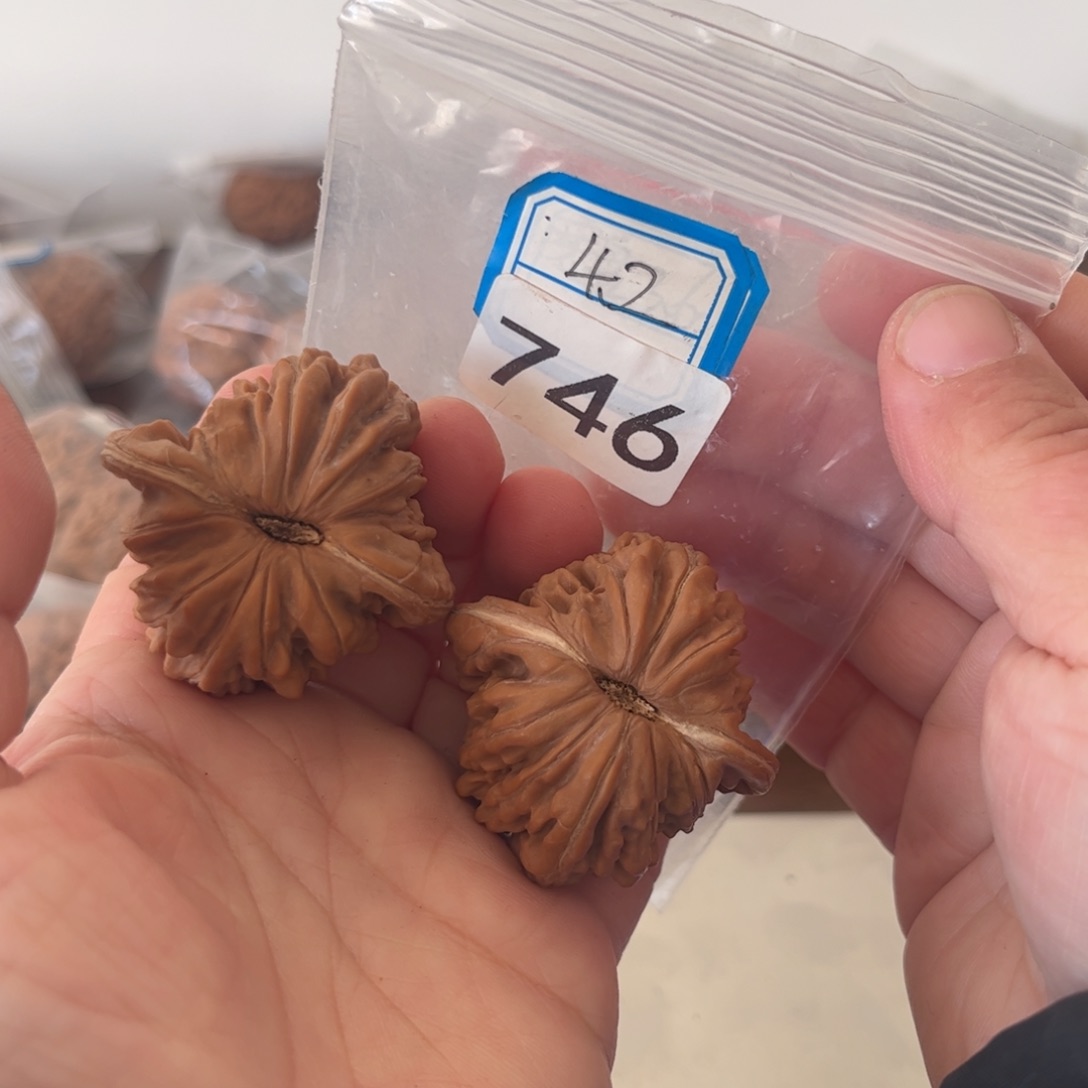 吊坠文玩核桃楼子42