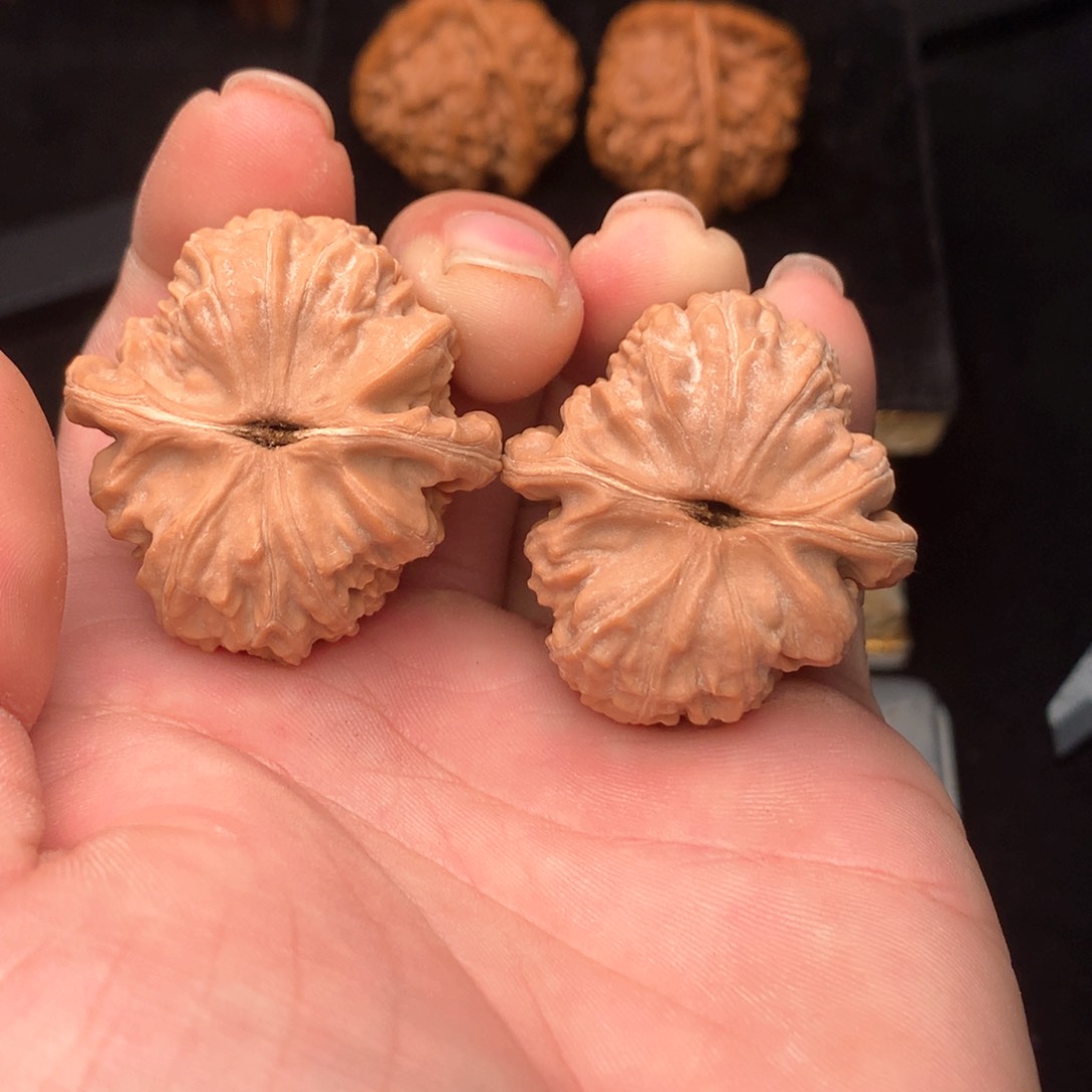 文玩核桃把件快****）白