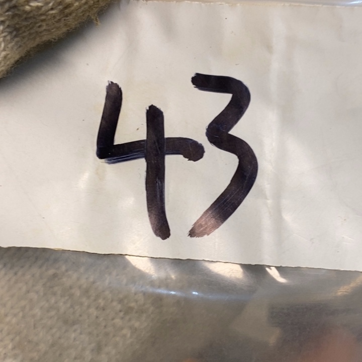 海***洋娜娜文玩杂项专属链接