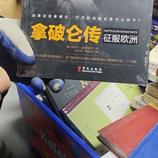 拿破仑传征服欧洲平装