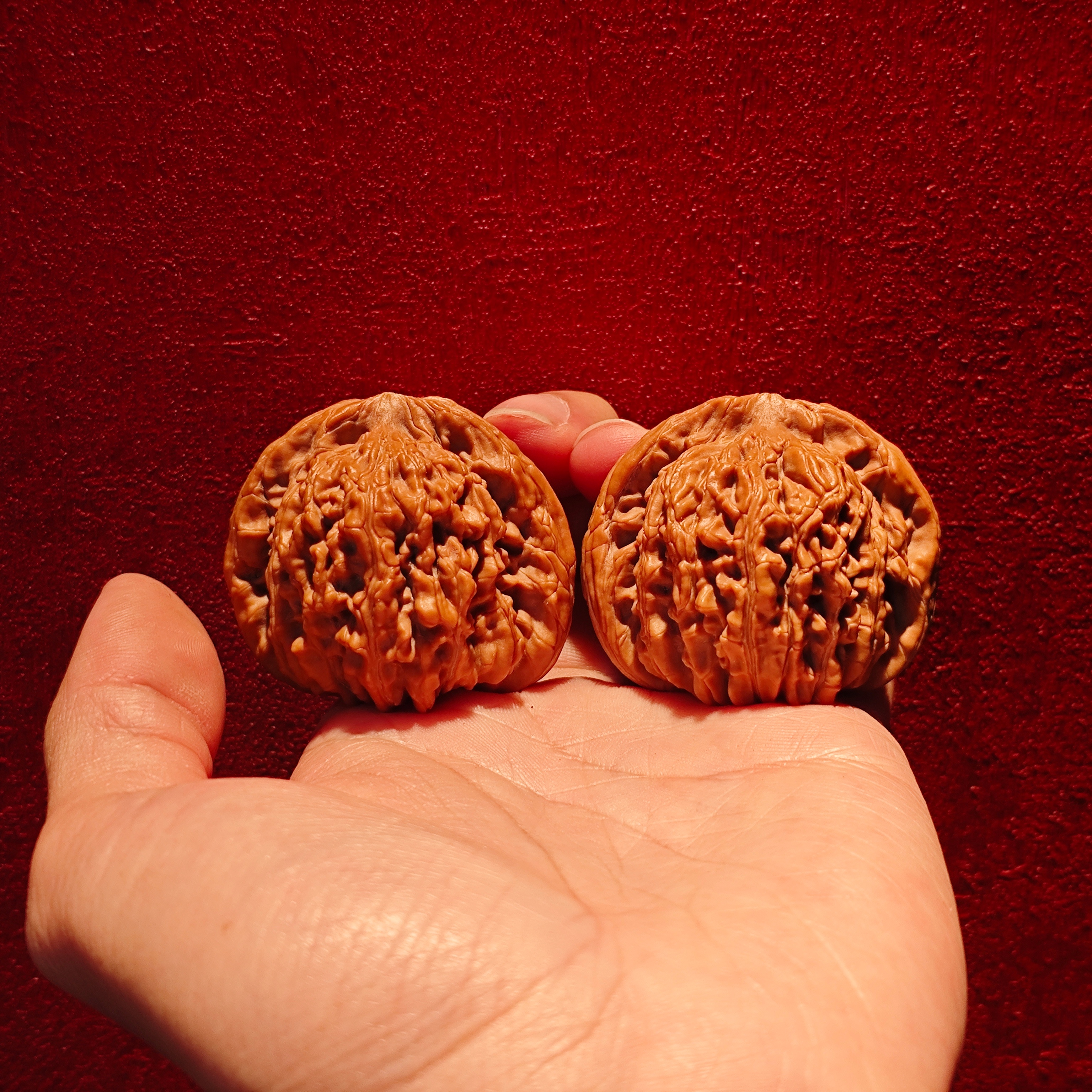 X109 精品四座楼 40mm以上