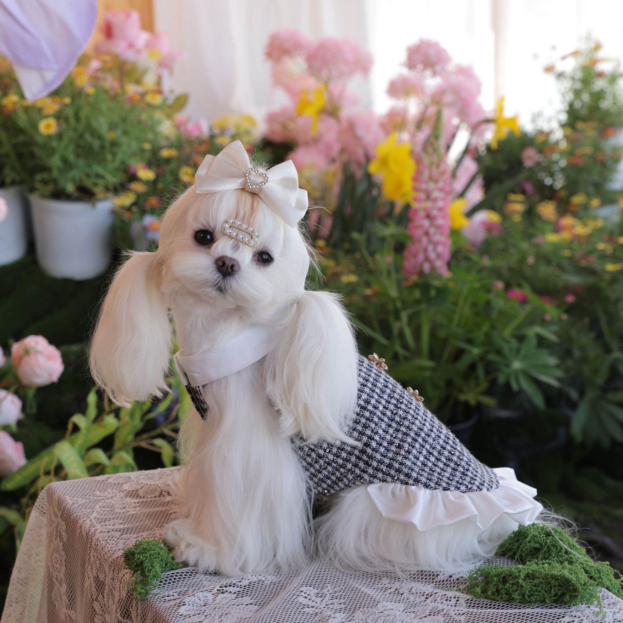 黑白格粗花呢星钻缀白纱边宠物奢宠裙