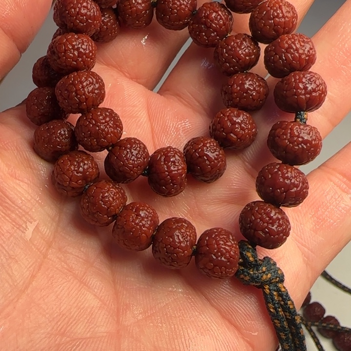 吊坠金刚菩提龙鳞王10左右