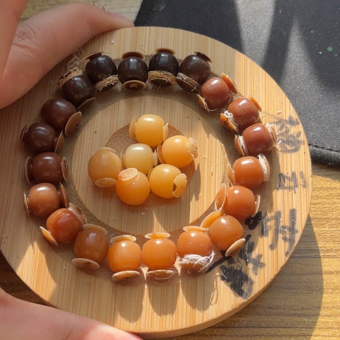 J***t菩提根/象牙果手串