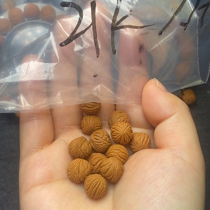 吊坠桃核秦岭山野生桃核