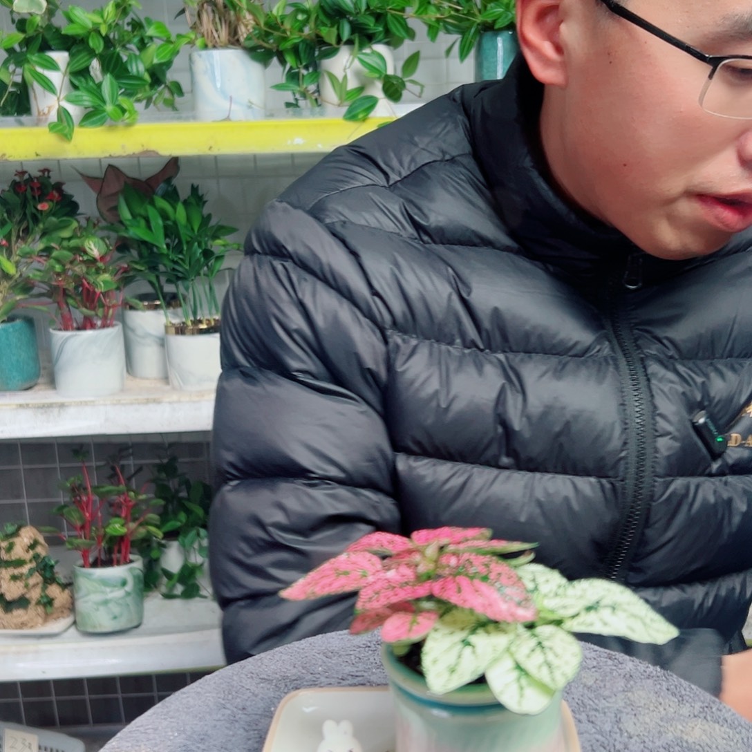 一***柚无花朵21                  