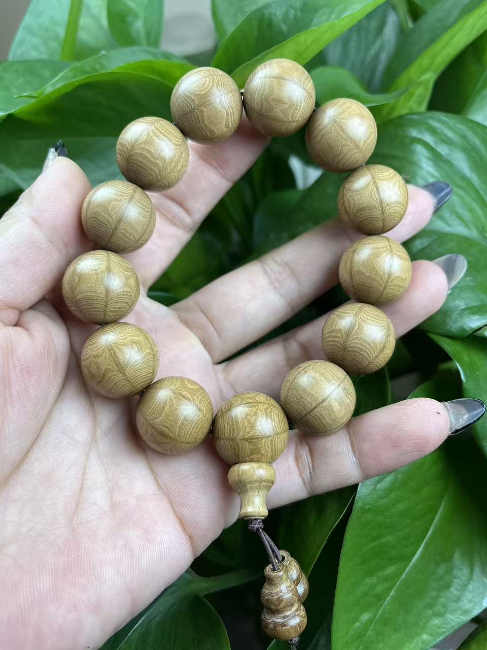六道木红木手串18mm
