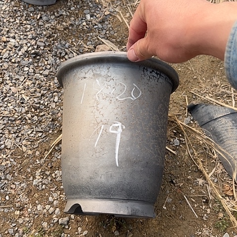 罐瑕疵金钟口径18高度20