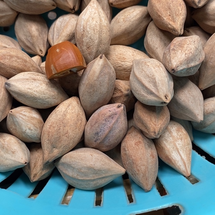 吊坠橄榄核乐*哦一斤