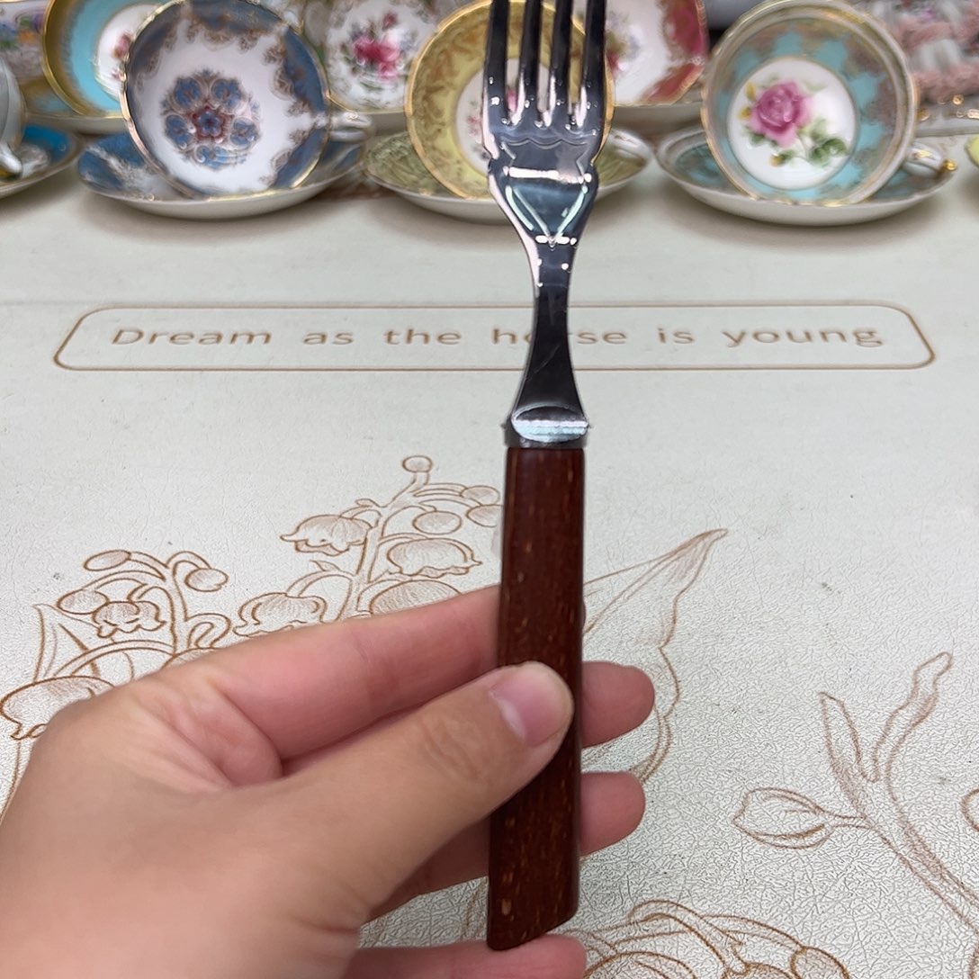 盘维多利亚欧洲中古