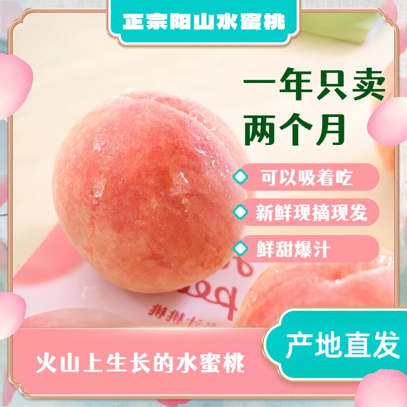【4-5两阳山白凤】正宗阳山水蜜桃现采现摘白凤水蜜桃8个礼盒装