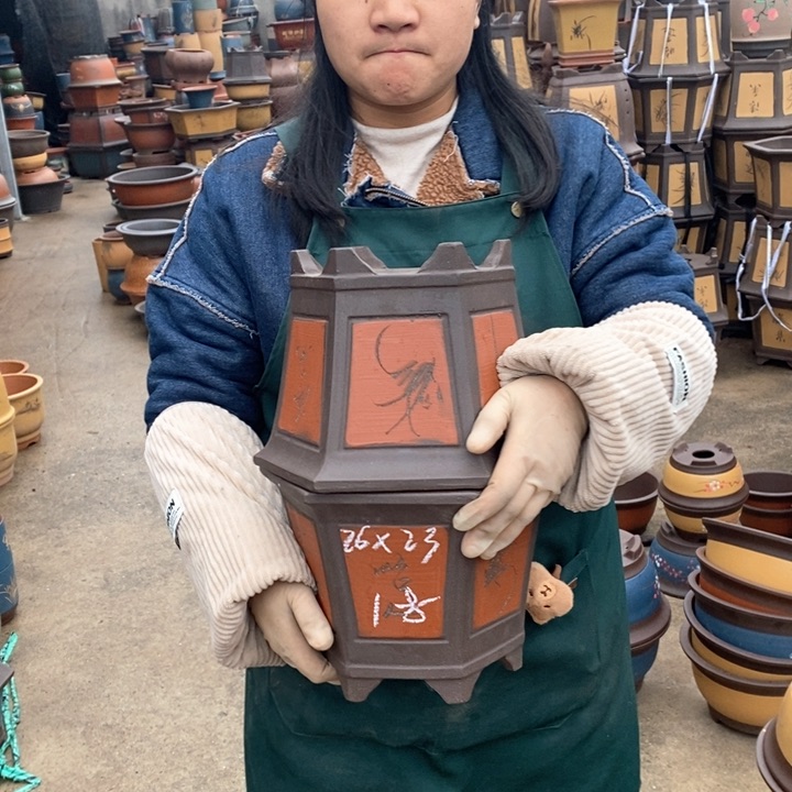 紫砂花盆盆栽花卉苗木种植