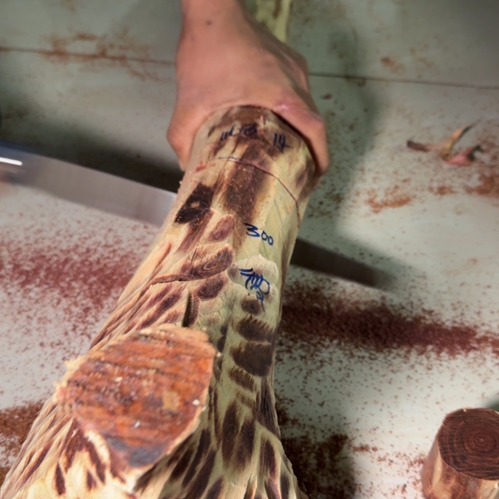 酒****木海南，海北飞灰尘。甘受商于仪诳楚