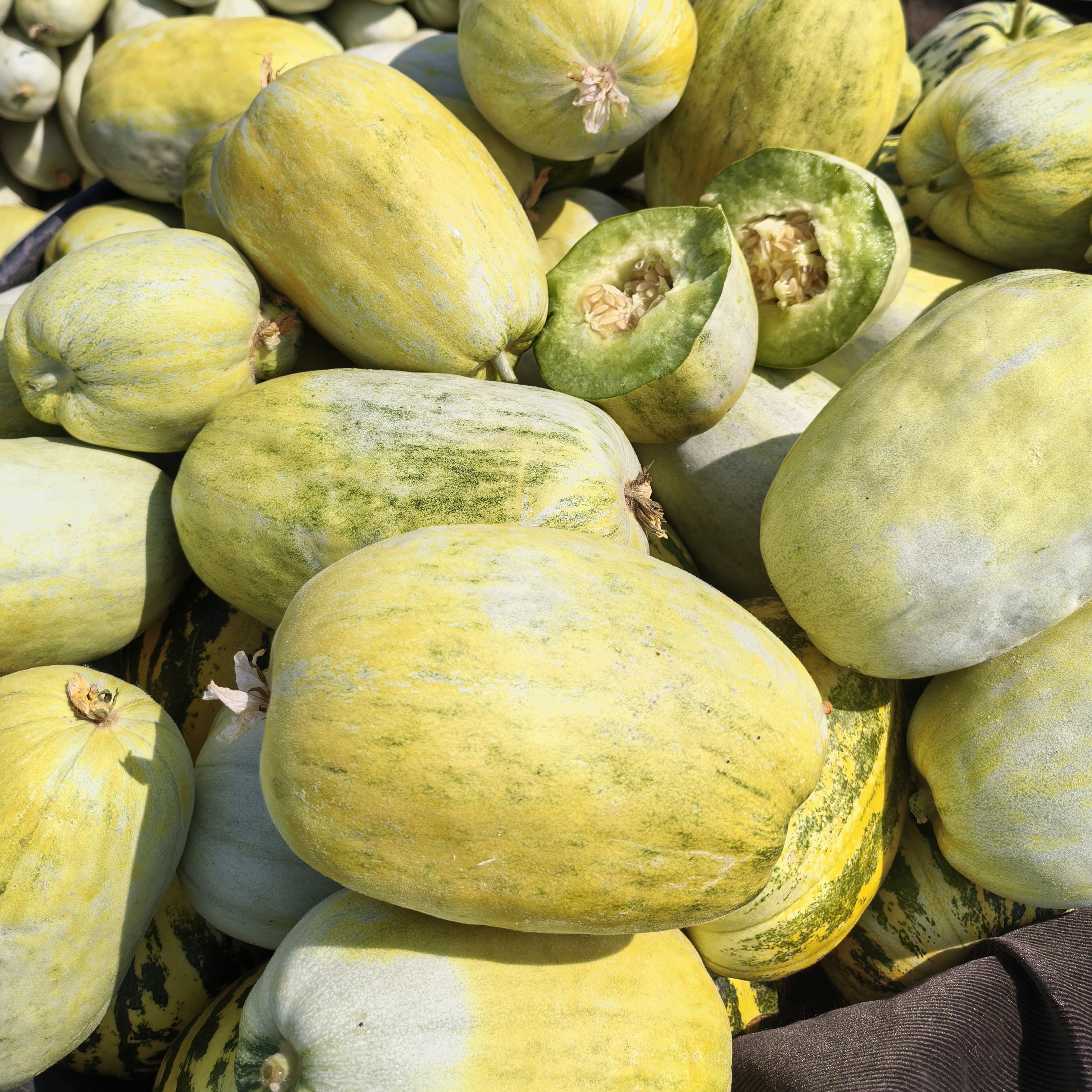 头茬金冠小甜瓜甜瓜