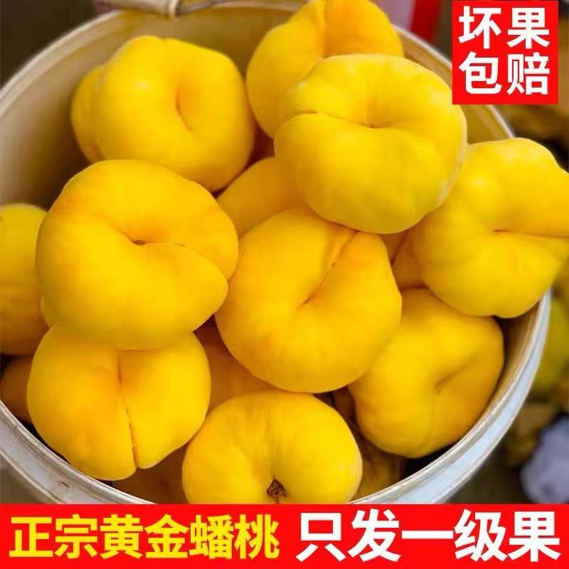 【蒙阴蜜桃】正宗山东手撕扁桃大果蟠桃纯甜黄金毛蟠桃子水果新鲜