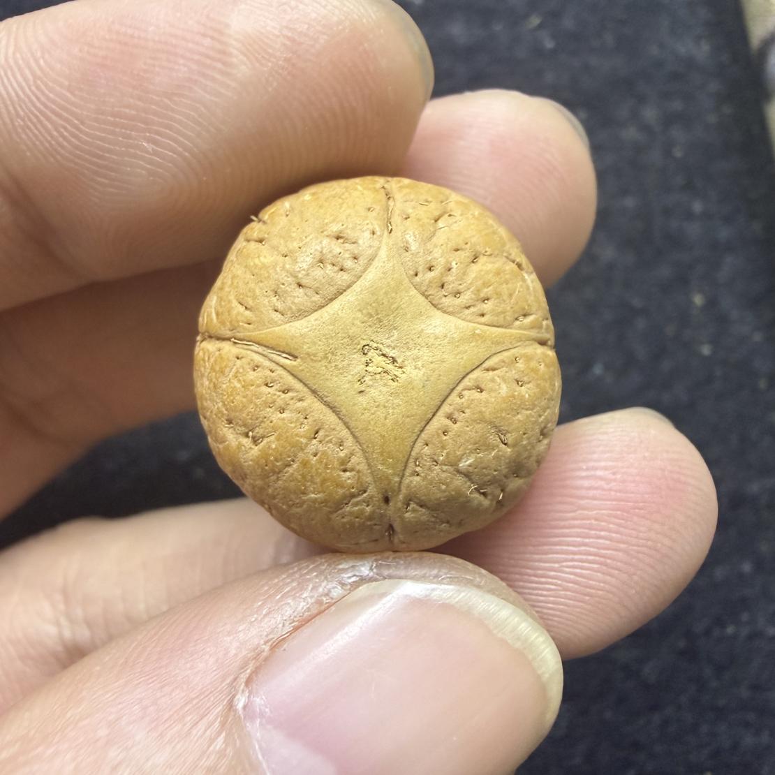 22mm凤眼菩提麒麟眼，厚度15.8mm，非质量问题开孔不退不换。