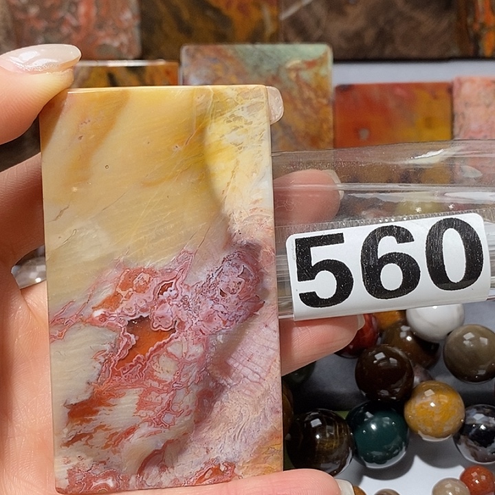 硅化玉未镶嵌天然北票树化玉吊坠