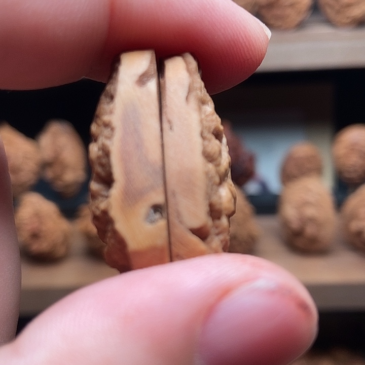 振***纯手工处理俩单颗