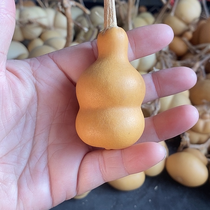 葫芦的颜色很好看