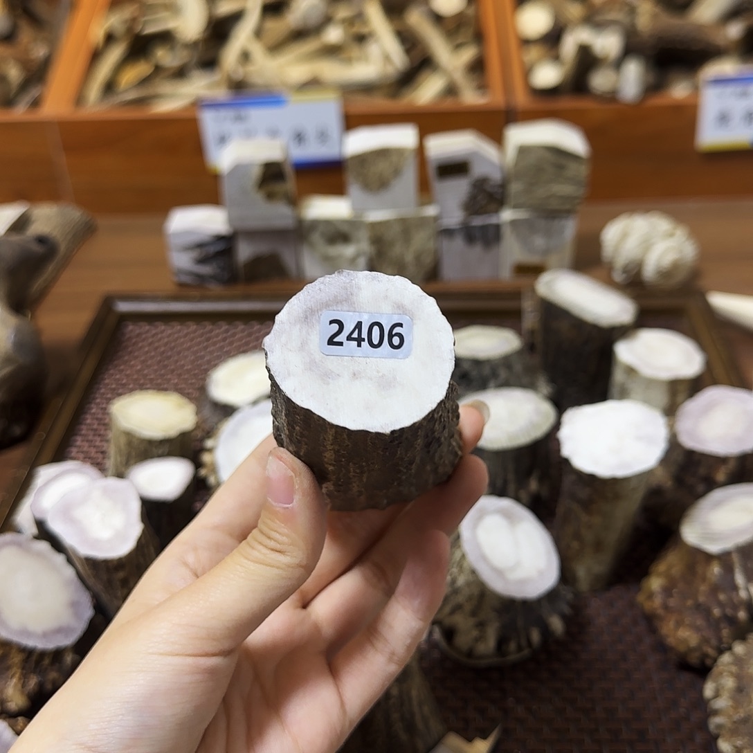 鹿骨手串/手链2406根段