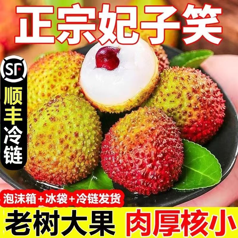 高州新鲜现摘现发老树妃子笑荔枝应季水果家庭送礼自家种植顺丰