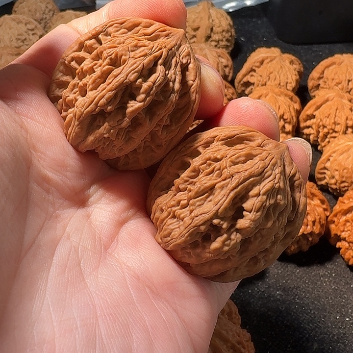 福利，麦穗虎头，加关注。