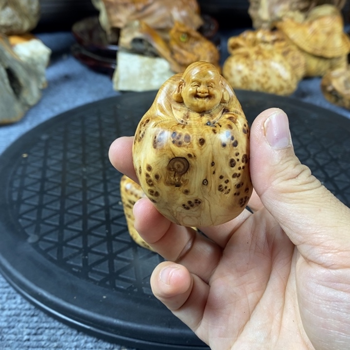 柏木崖柏崖柏崖柏崖柏崖柏