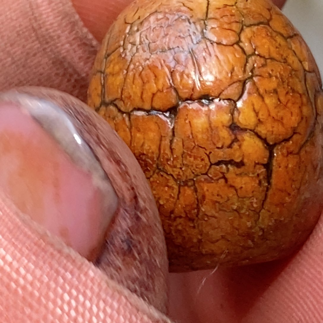 未镶嵌珠子的玛瑙/玉髓