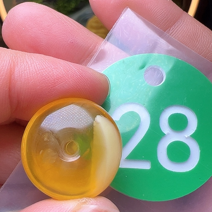 蜜蜡裸石未镶嵌水线20m m