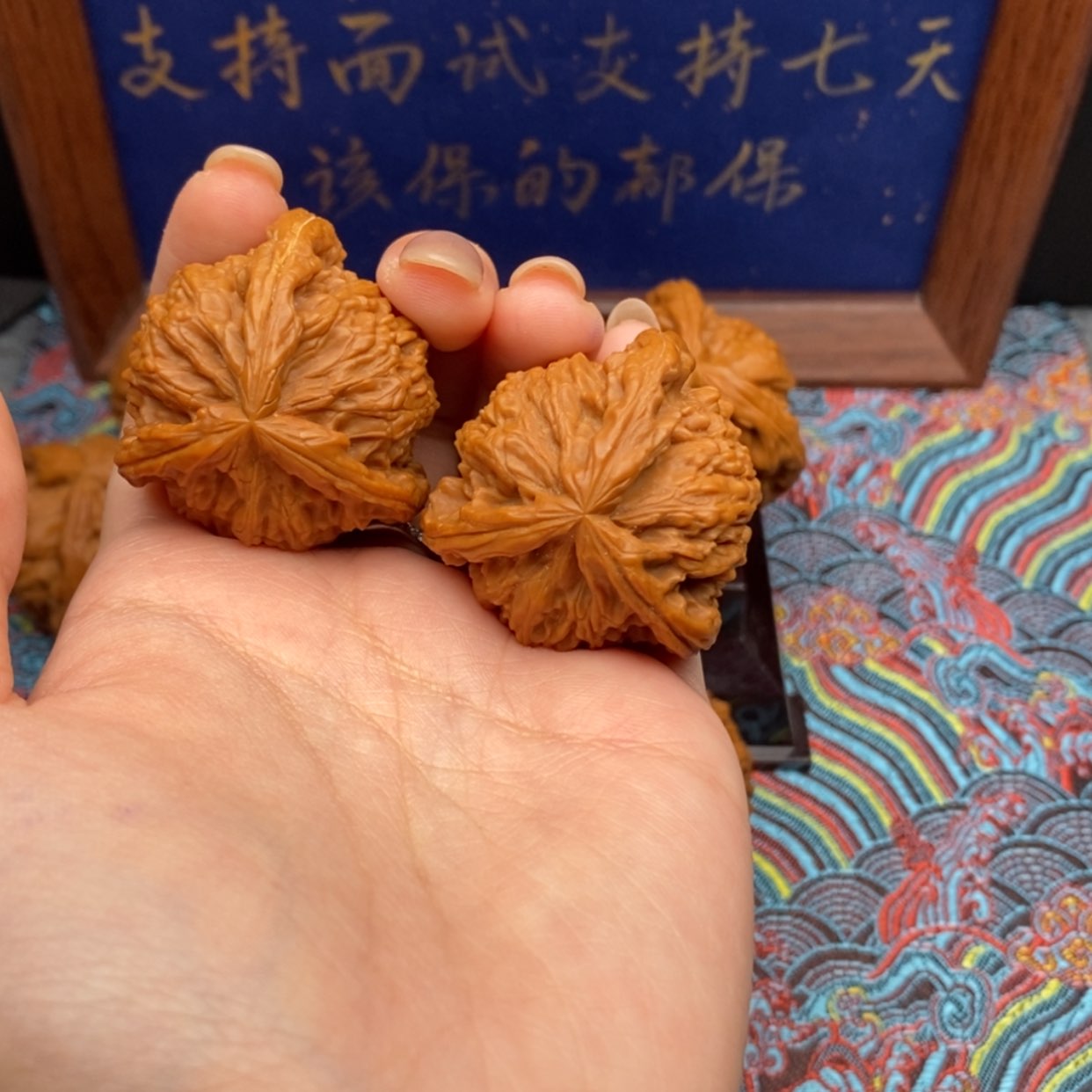 【闪购商品】缘**定白狮