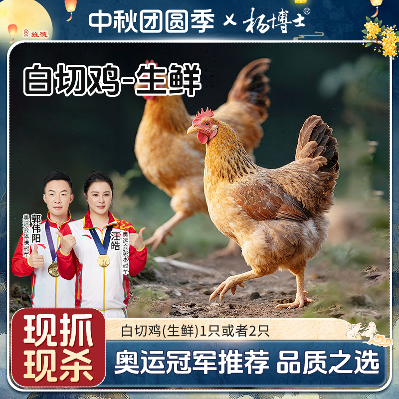 【白切鸡-生鲜】杨博士生态散养土鸡皖南老母鸡原粮喂养新鲜现杀