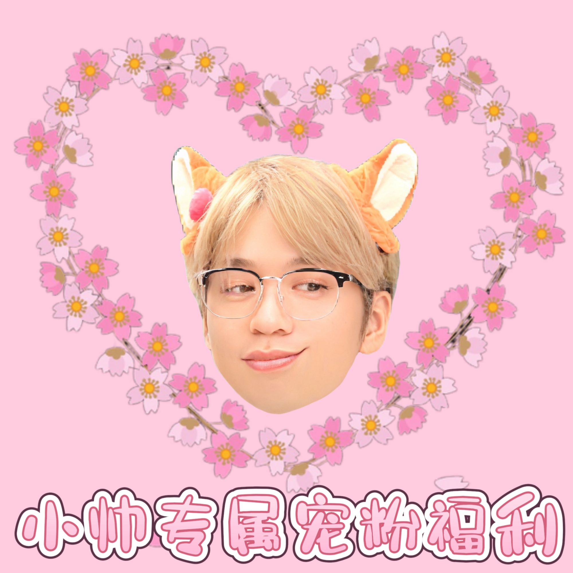 【霜降】福福 宝可梦代拆