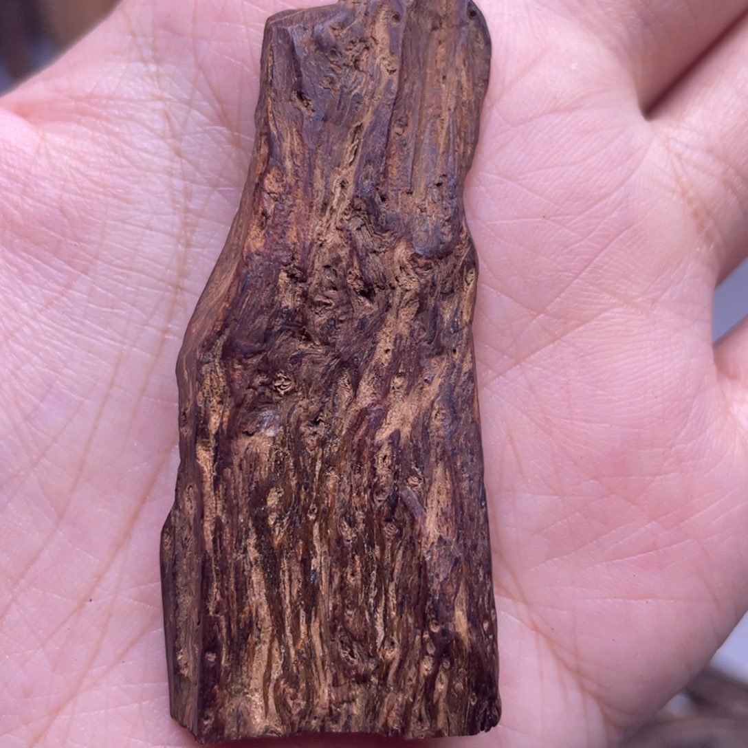 香榧木4克海南老尖峰岭留疤老树心油