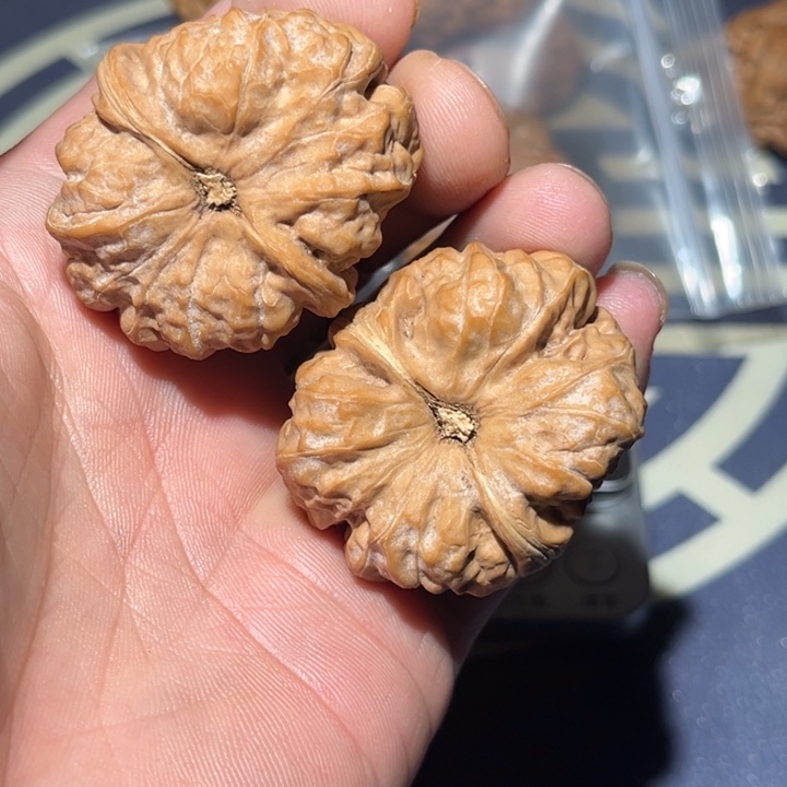 文玩核桃把件38娃娃