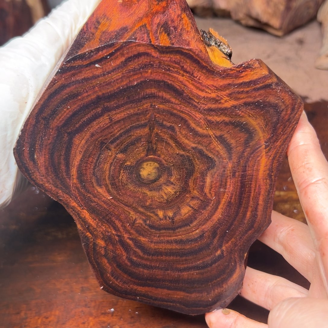 六***秋黄花梨/降香黄檀原料定制