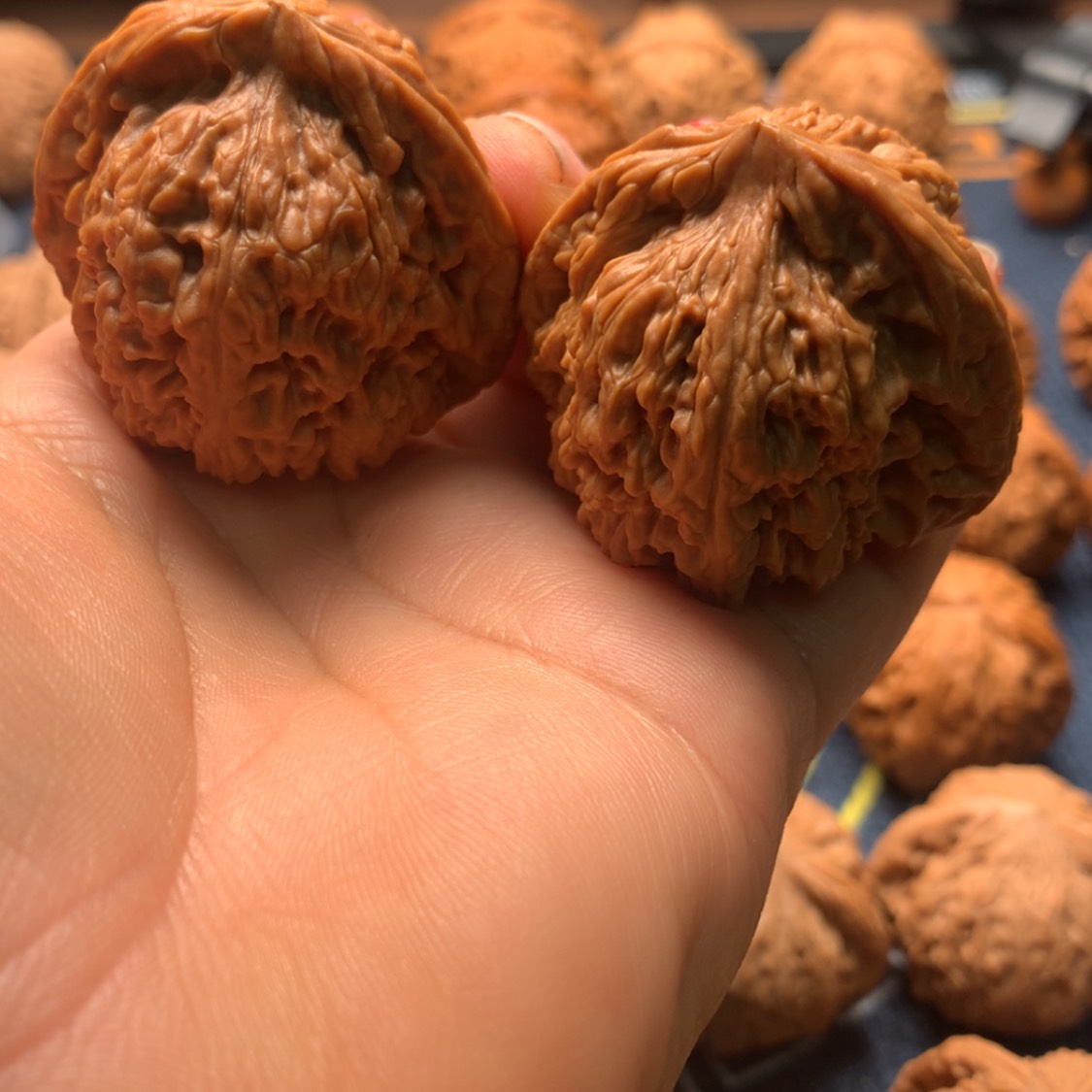 【闪购商品】把件文玩核桃苏****儿南疆42