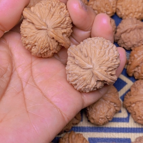 【闪购商品】文玩核桃吊坠海**?白狮子40