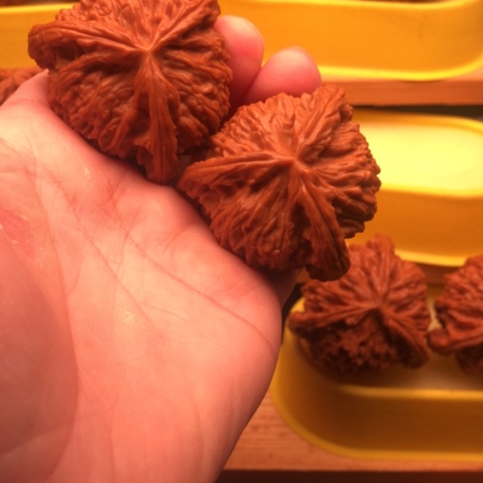 小***K核桃核桃核桃核桃套